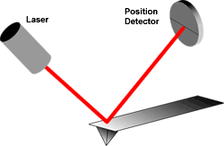 beamdeflection