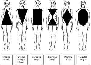 bodyshapes2