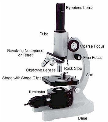 An optical microscope. 