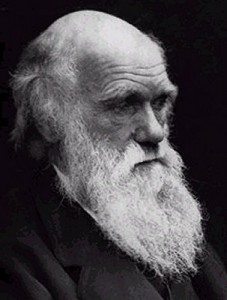 Darwin was inspired by art and inspired artisits