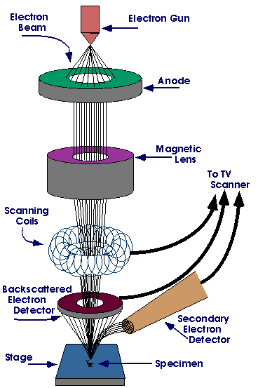 electron-microscope