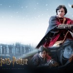 harry-potter-image-quidditch-026