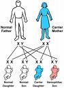 hemophilia1