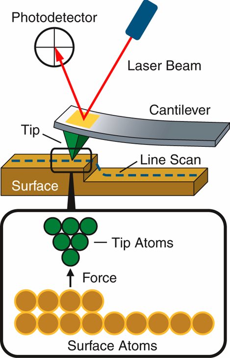 how-an-atomic-force-microscope-works1