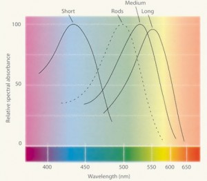 This graph illustrates the relationship between particle size, wavelength, & color.