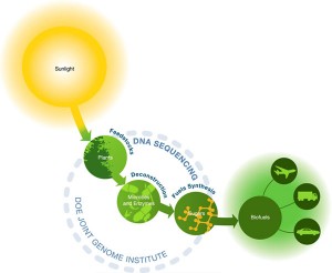 sun-2-biofuels