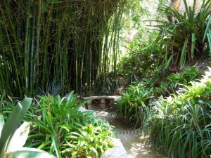 ucla-botanical-garden-blog-eight