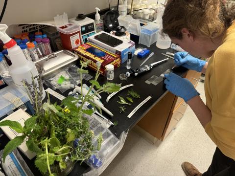 Haley R Marks Haley Marks, an artist at heart and a scientist in the lab, contributed ...